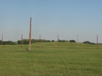 Woodhenge